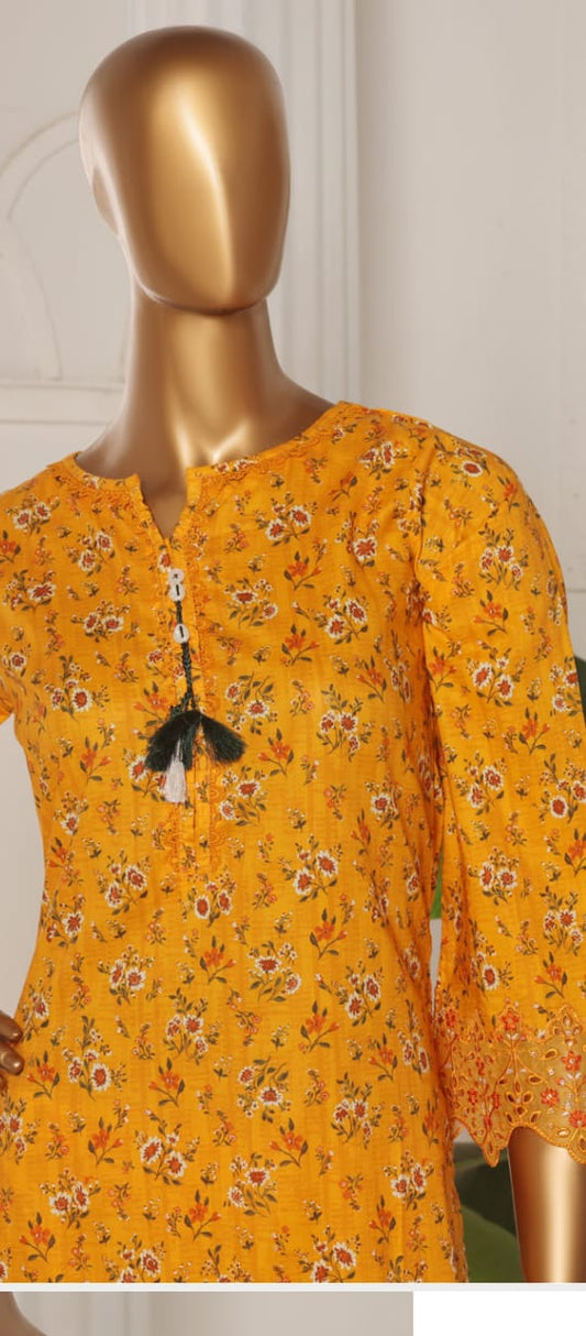 Riwayat Chiken Kari Embroided Co ords 2pcs Lawn Stitched